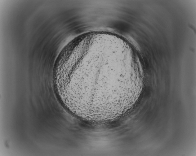 X0000098040895200804251037