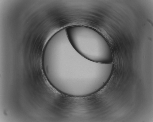 X0000098040896200804251037