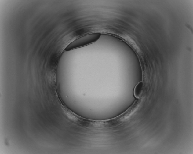 X0000098040897200804251037