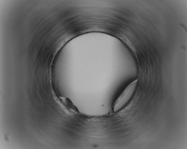 X0000098040898200804251037