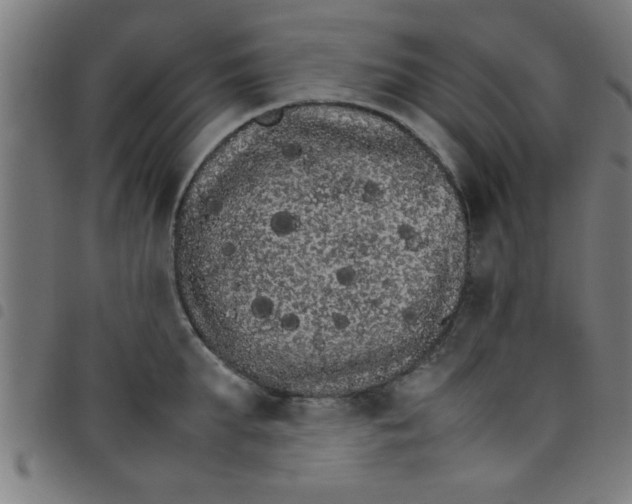 X0000098040903200804251037