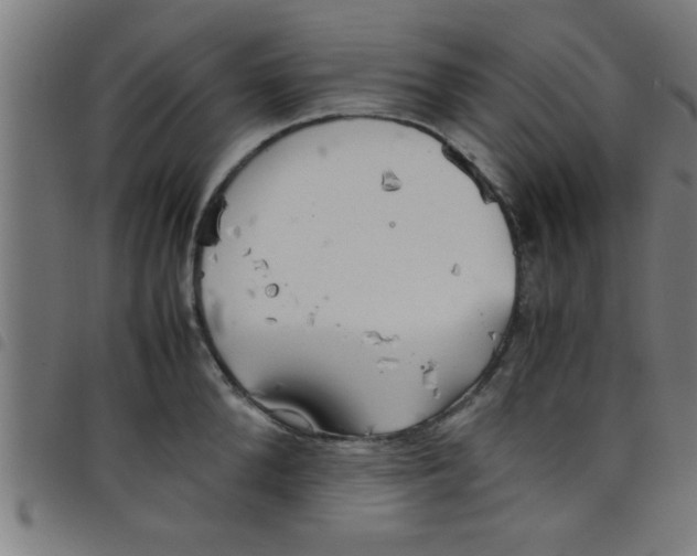 X0000098040904200804251036