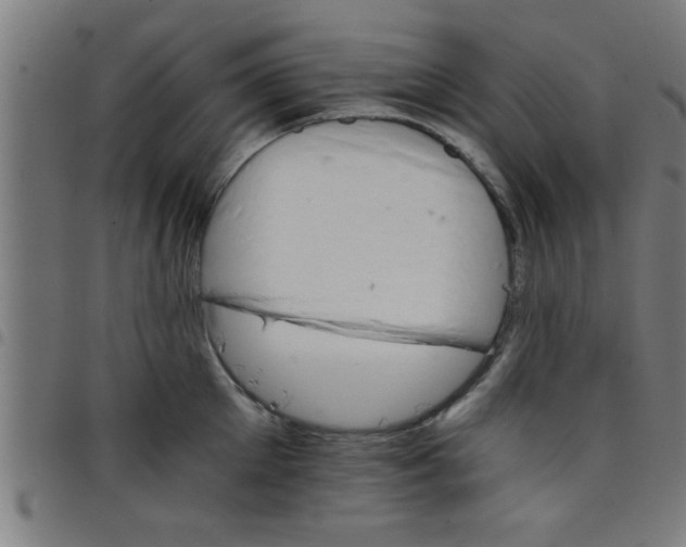 X0000098040905200804251036