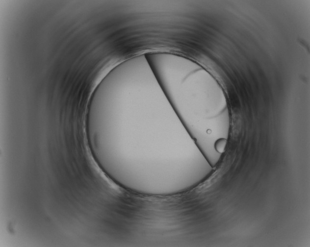 X0000098040906200804251036