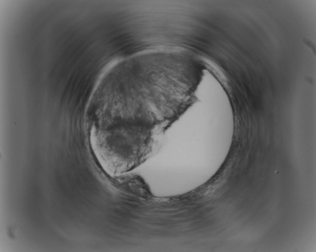 X0000098040907200804251036