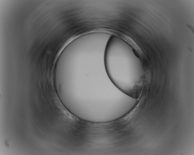 X0000098040908200804251036