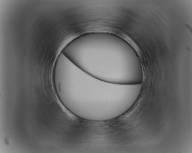 X0000098040909200804251036