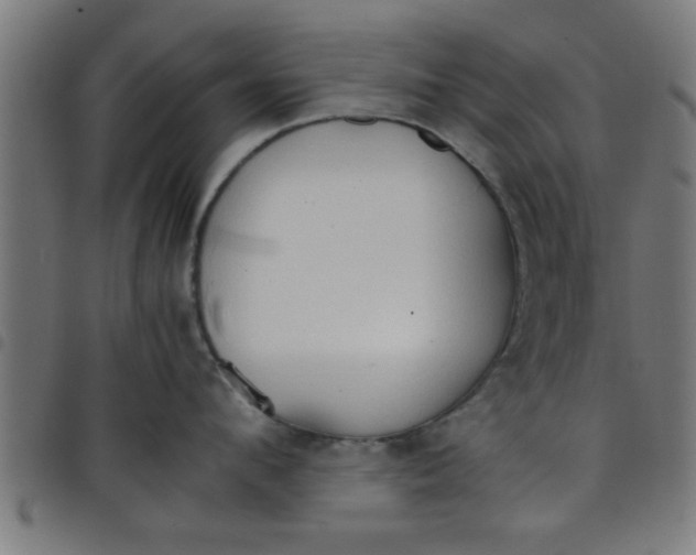 X0000098040912200804251036