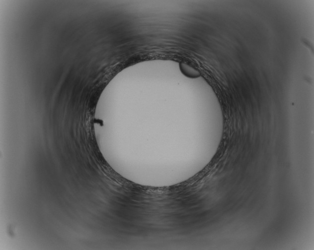 X0000098040914200804251036