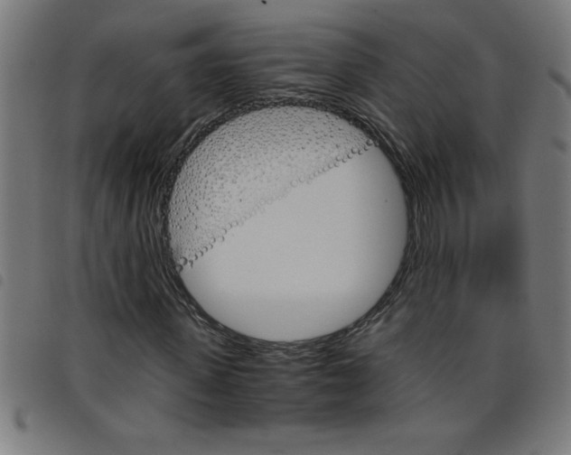 X0000098040915200804251036