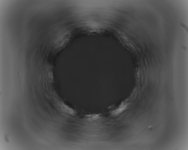 X0000098040916200804251036