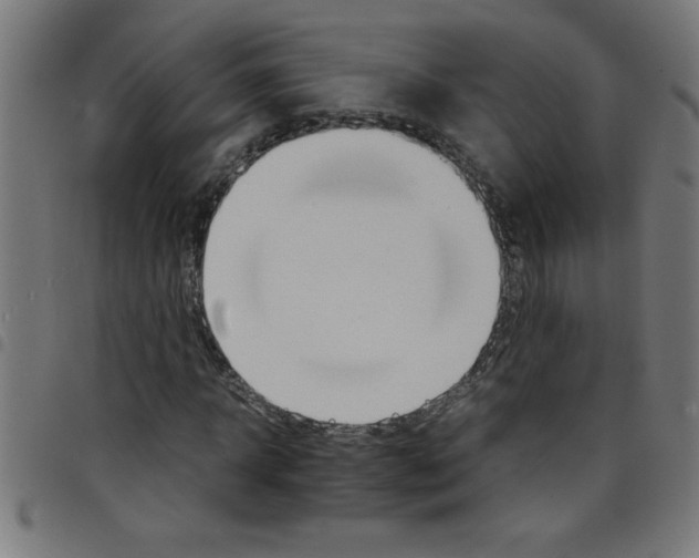 X0000098040918200804251036