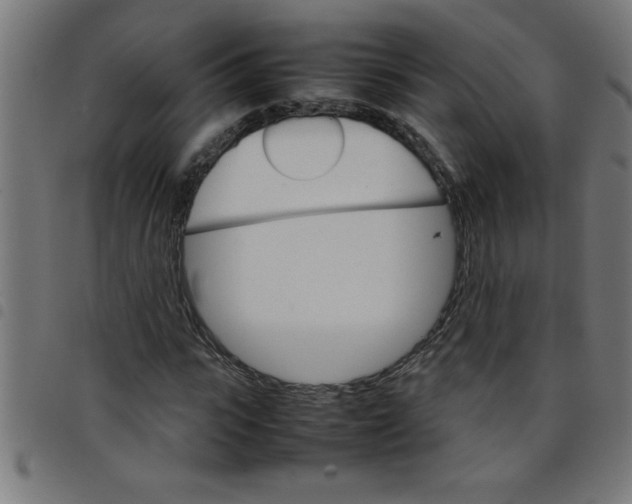 X0000098040919200804251036