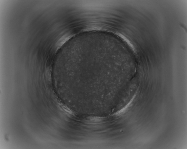 X0000098040921200804251036