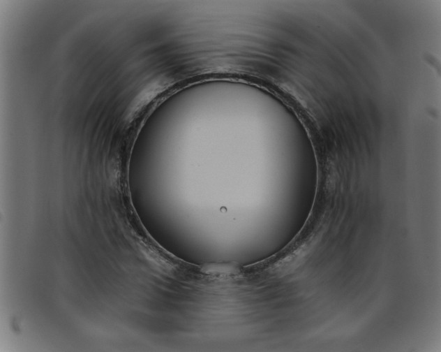 X0000098040922200804251036