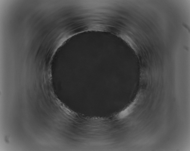 X0000098040923200804251036