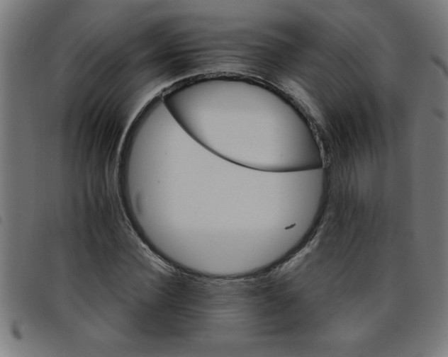 X0000098040924200804251036