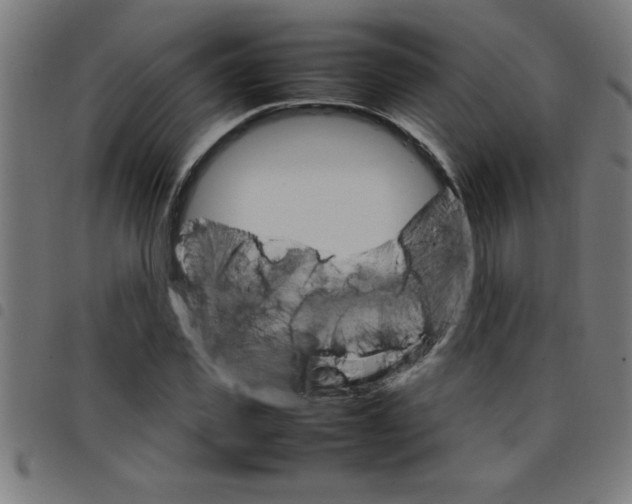 X0000098040925200804251036