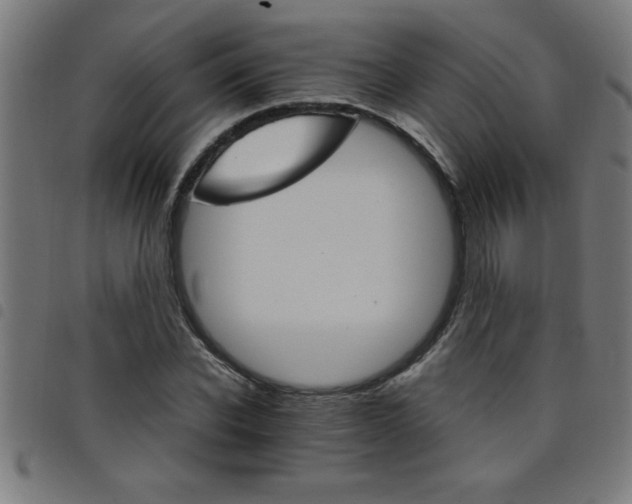 X0000098040926200804251036