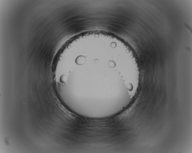 X0000098040927200804251036