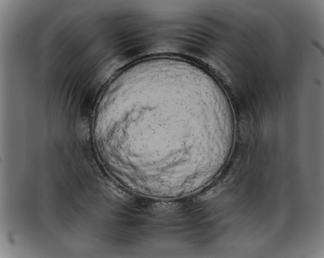 X0000098040929200804251036