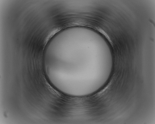 X0000098040930200804251036