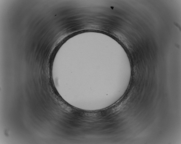 X0000098040931200804251036