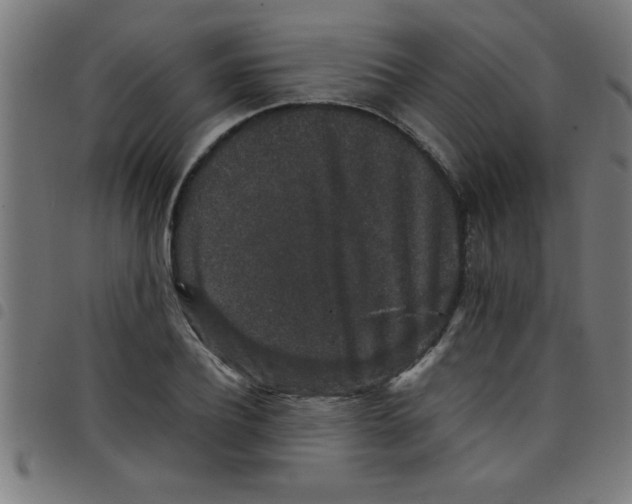 X0000098040932200804251036