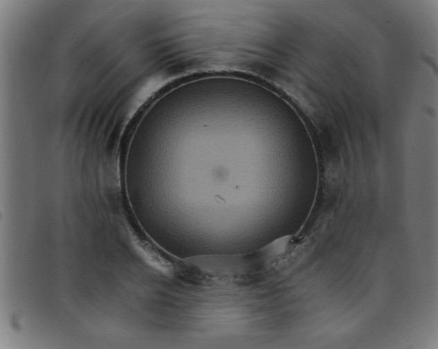 X0000098040934200804251036