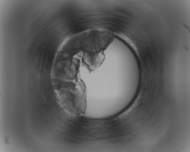 X0000098040937200804251036