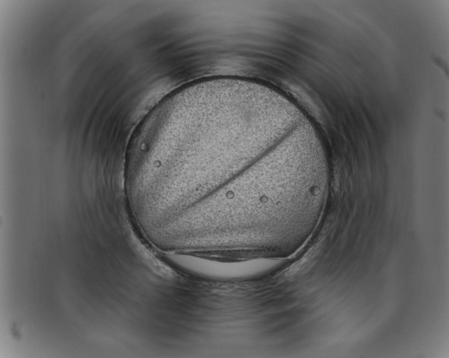 X0000098040938200804251036