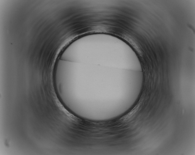 X0000098040939200804251036