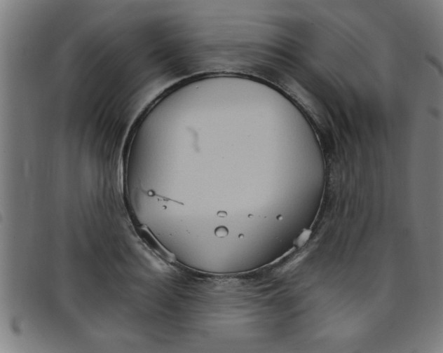 X0000098040940200804251036