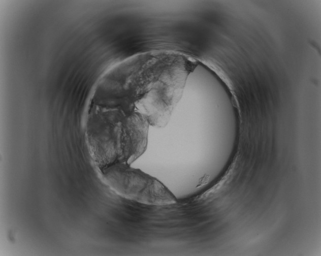 X0000098040941200804251036