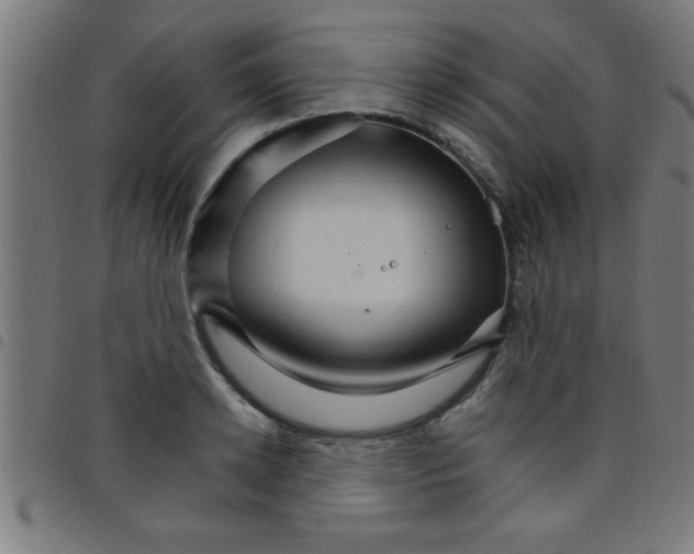 X0000098040942200804251036