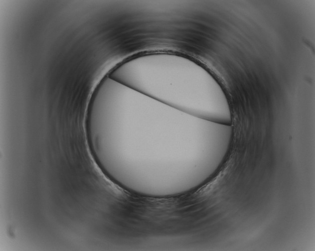 X0000098040943200804251036