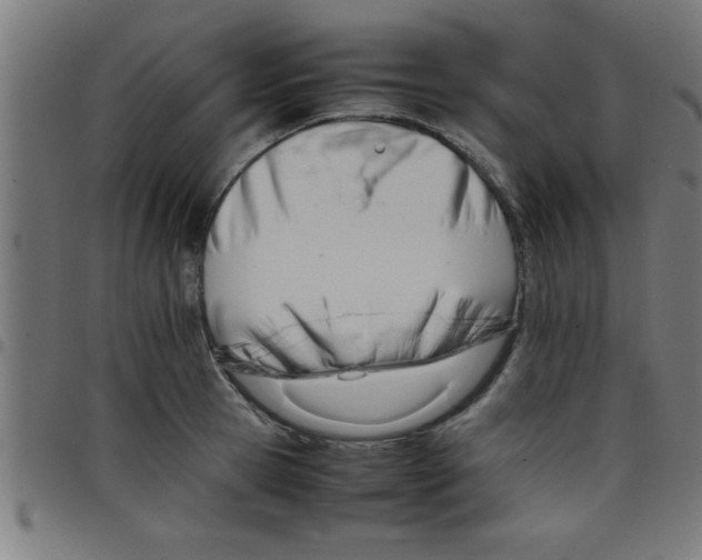 X0000098040945200804251036