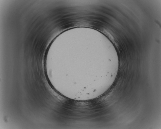 X0000098040947200804251036