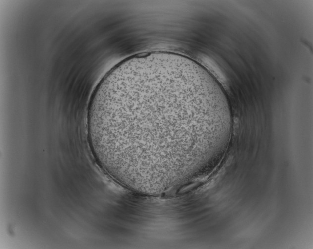 X0000098040948200804251036