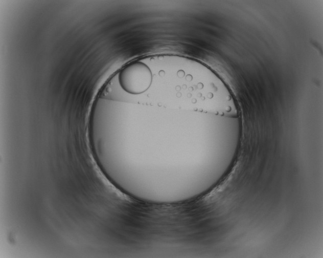 X0000098040949200804251036