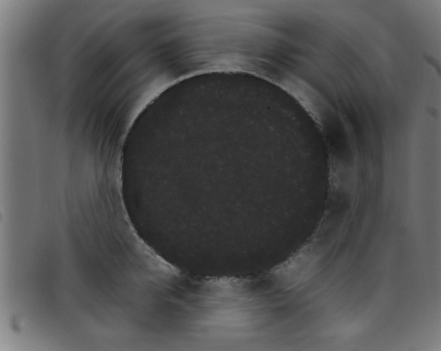 X0000098040950200804251036