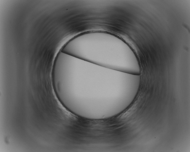 X0000098040951200804251036