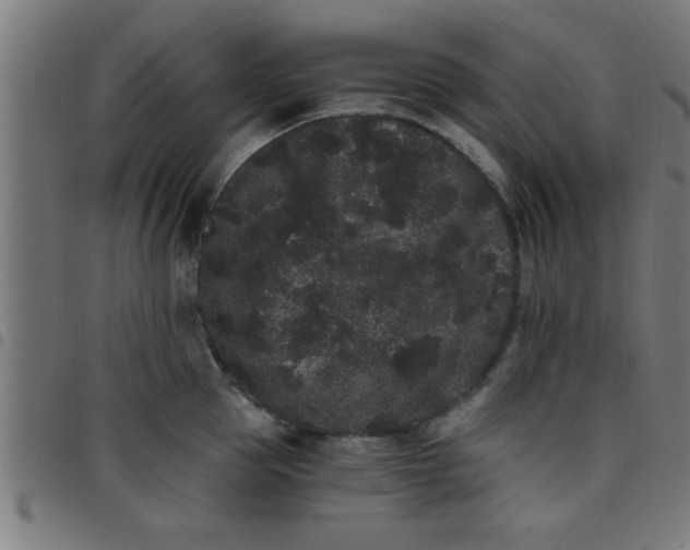 X0000098040953200804251036