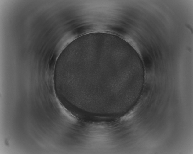 X0000098040954200804251036