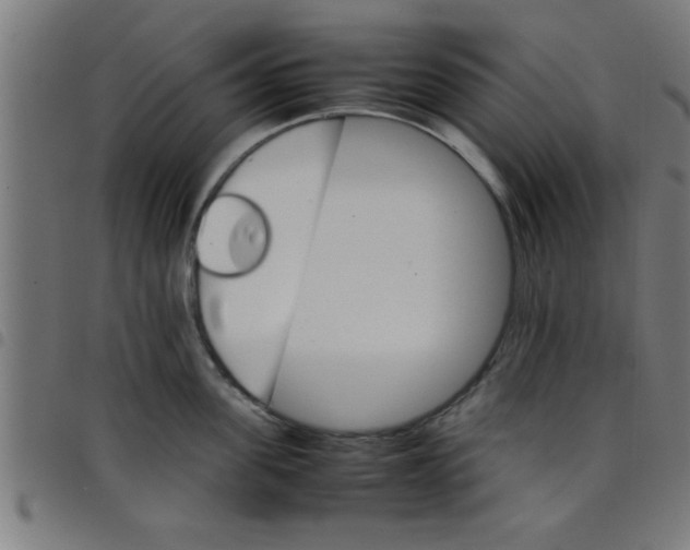 X0000098040955200804251036