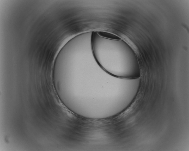 X0000098040956200804251036