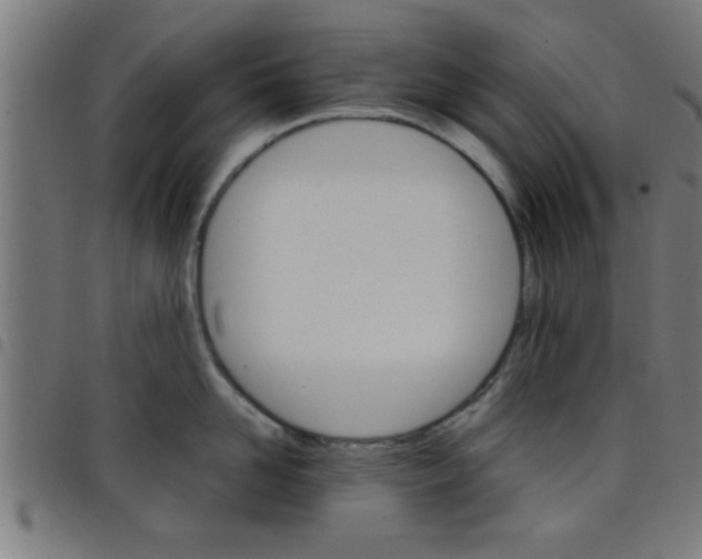 X0000098040958200804251036