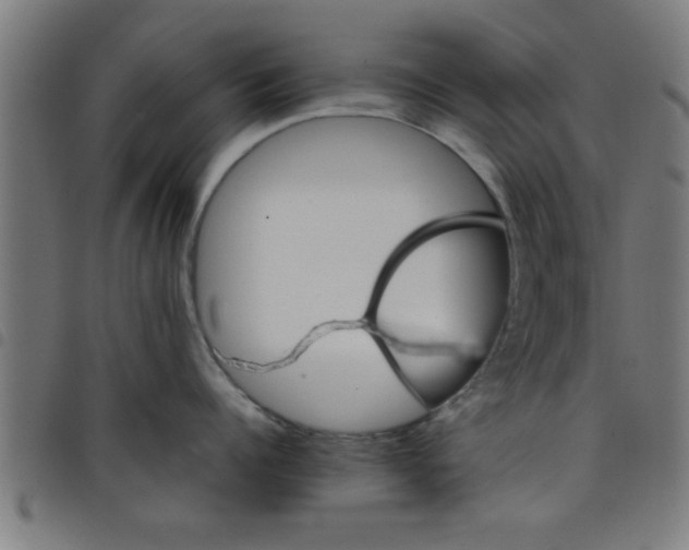 X0000098040960200804251036