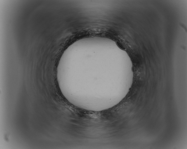 X0000098040961200804251036