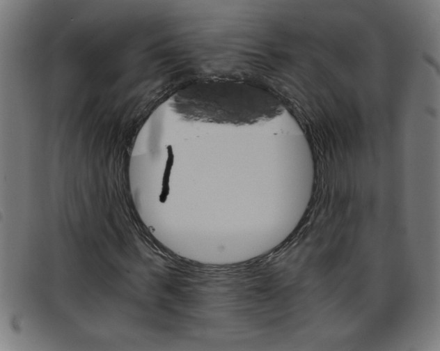 X0000098040963200804251036